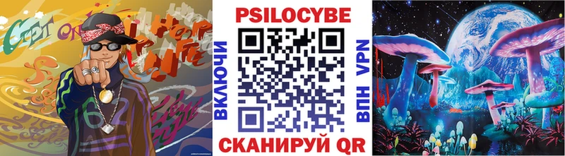 Псилоцибиновые грибы Psilocybe  Кохма 
